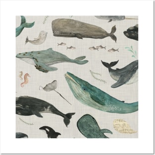 Whale (gray) Posters and Art